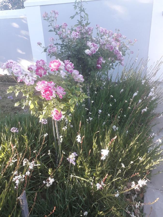 The Fancy Cactus Apartment Colesberg Exterior photo